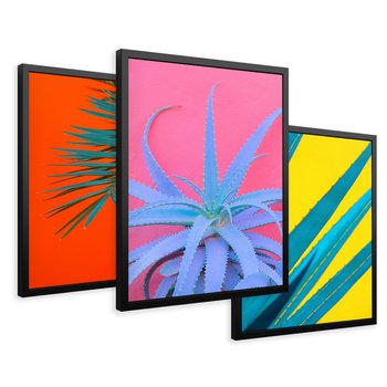 Zestaw obrazy w ramie 30x40 galeria - Liście, rośliny, aloes, neonowe - rama czarna