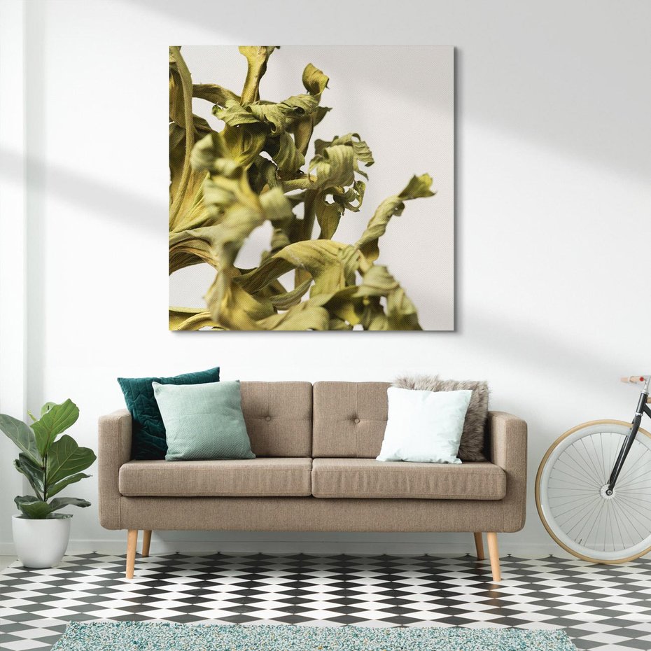 Obraz na płótnie 70x70 - Odejście pory deszczowej - suche, trawy