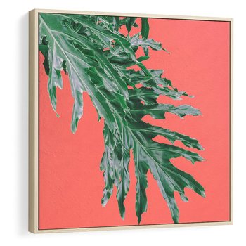 Obraz w ramie 80x80 - Energetyczna Eksplozja Natury - liście, kolor - rama drewno