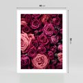 Plakat bez ramy 40x50 - Róże - piękno kwiatów - róże, kwiaty