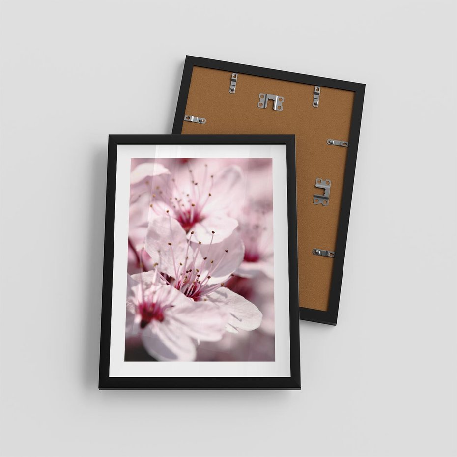 Plakat w ramie 30x40 - Kwitnąca Wiśnia - kwiaty, kwitnąca - rama czarna