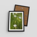 Plakat w ramie 30x40 - Kolorowa łąka - stokrotki, łąka - rama czarna
