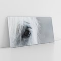 Obraz na płótnie 120x60 - Oko Mocy - czarno białe zdjęcie, zbliżenie makro na oko konia