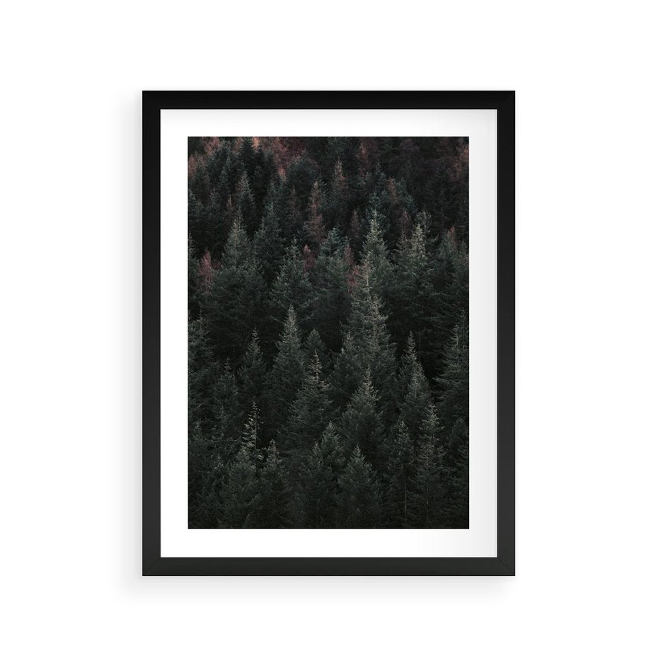 Plakat w ramie 30x40 - Wysoko nad Iglastym Lasem - las, perspektywa - rama czarna