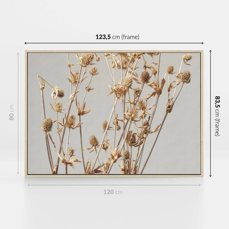 Obraz w ramie 120x80 - Delikatne gipsówki - gipsówka, suche - rama drewno