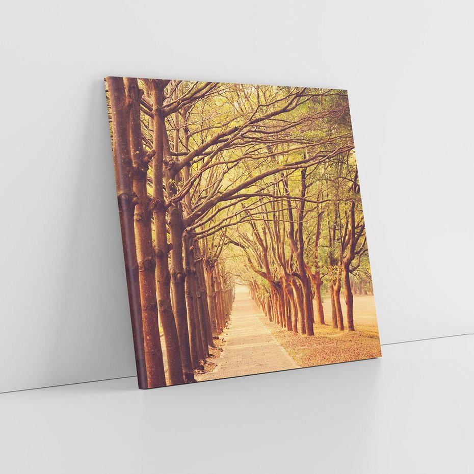 Obraz na płótnie 70x70 - Wędrówka między drzewami - droga, drzewa