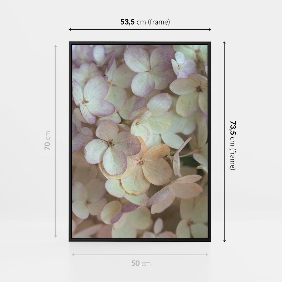 Obraz w ramie 50x70 - Kwiatowy taniec - kwiaty, hortensje - rama czarna