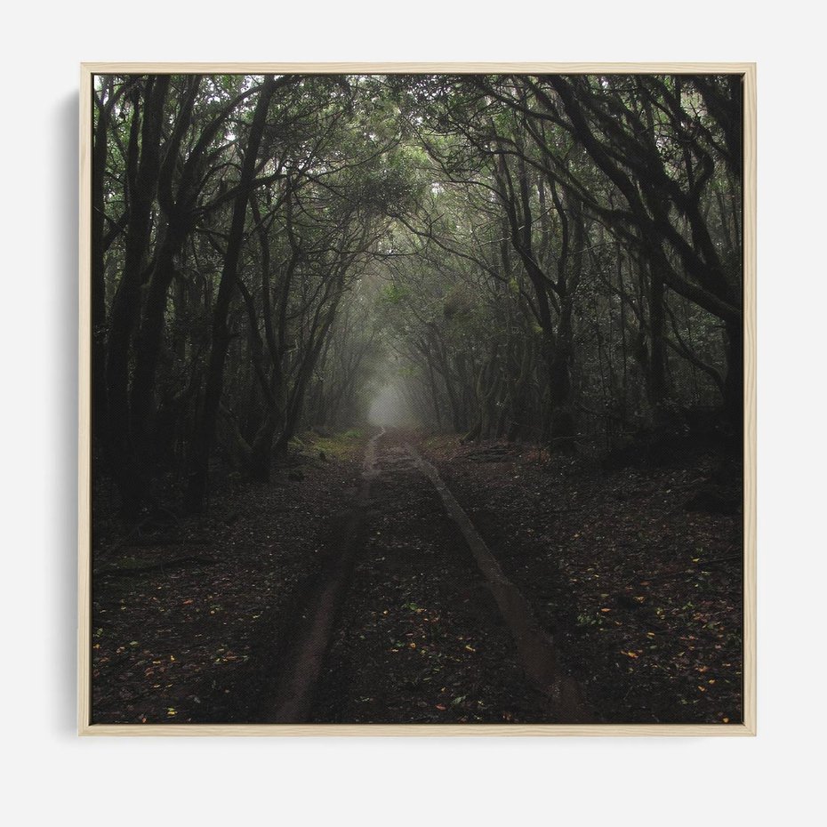 Obraz w ramie 50x50 - Urok Drogi - las, droga - rama drewno