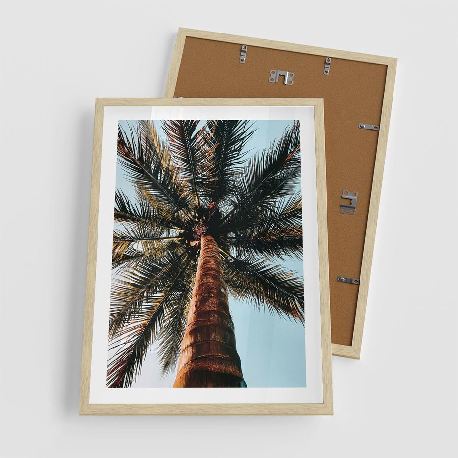 Plakat w ramie 50x70 - Rajskie Inspiracje: Palma na Niebie - palma, na tle nieba - rama drewno