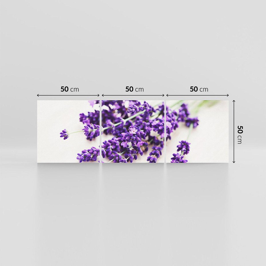 Obraz na płótnie 150x50 - Urok lawendowych kwiatów - lawenda, kwiaty