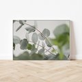 Obraz w ramie 120x80 - Liście eukaliptusa w naturze - eukaliptus, liście - rama biała