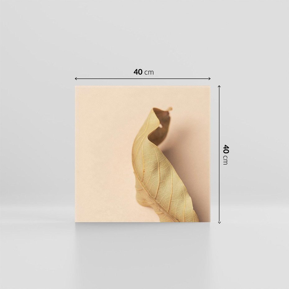 Obraz na płótnie 40x40 - Boho suszone liście - suszony, liść