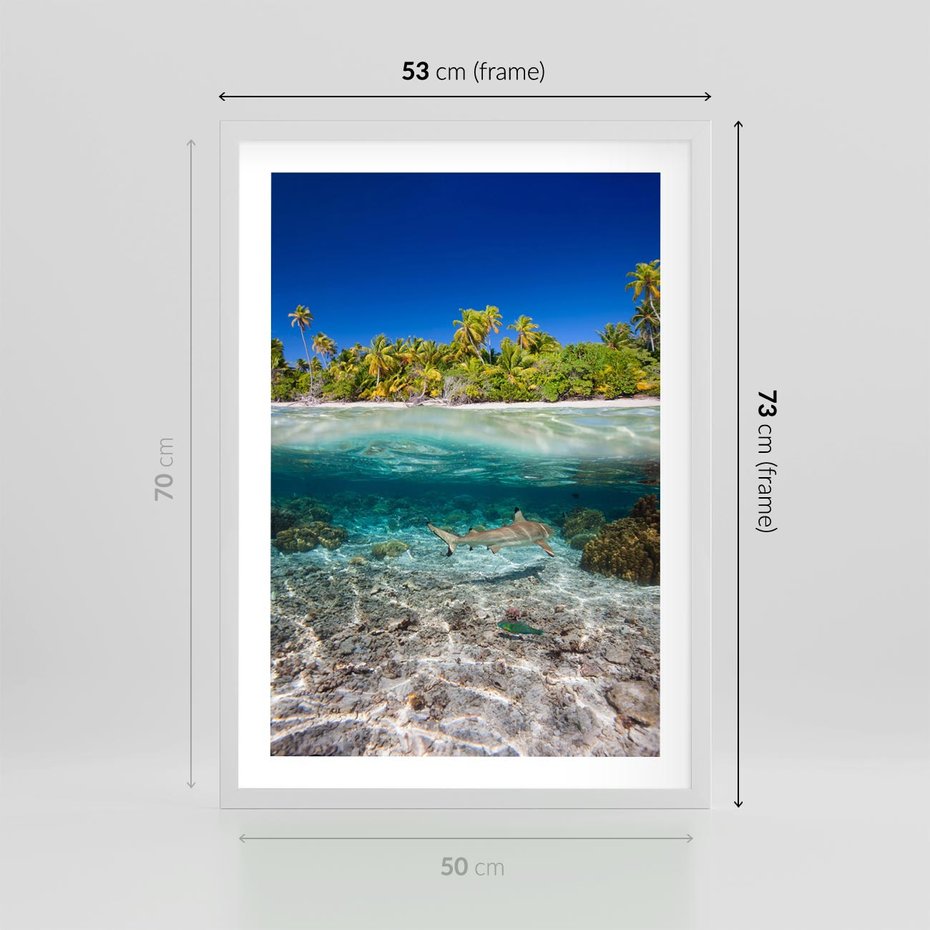 Plakat w ramie 50x70 - Tropikalne Morze i Kolorowa Rafa - tropikalne, morze - rama biała