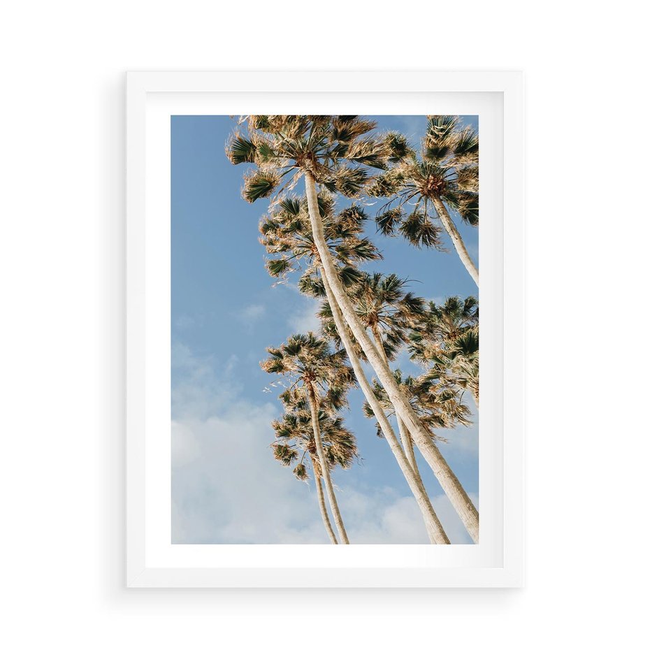 Plakat w ramie 50x70 - Pod Niebem Palmy - palmy na niebieskim niebie - rama biała