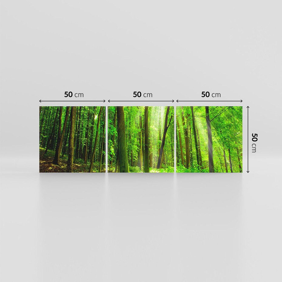 Obraz na płótnie 150x50 - Spacer po urokliwej dróżce w lesie - las, dróżka