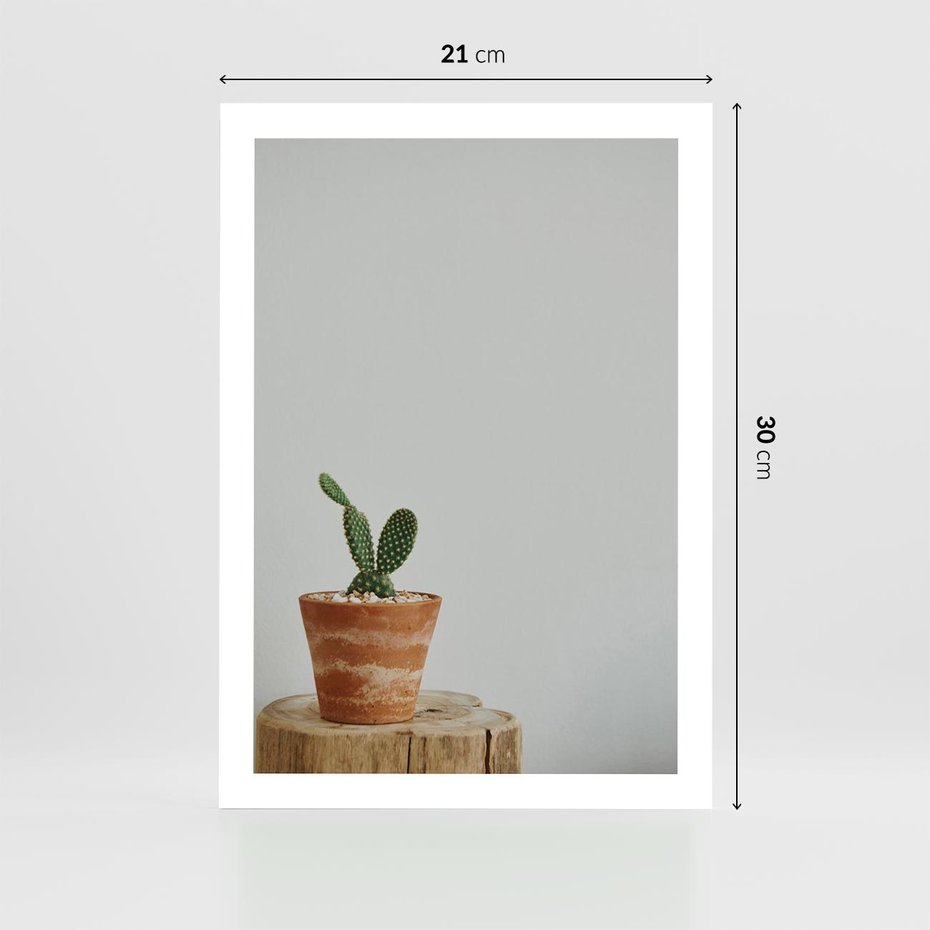 Plakat bez ramy 21x30 - Kaktus w Doniczce - minimalizm, kaktur w doniczce