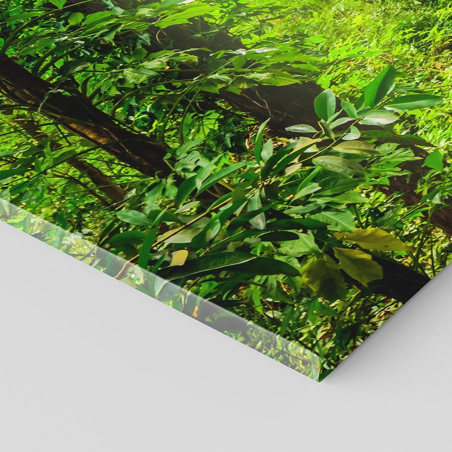 Obraz na płótnie 150x50 - Współistnienie z naturą - drzewa, las