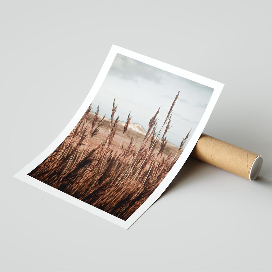 Plakat bez ramy 21x30 - Wysokie Trawy w Górskim Krajobrazie - suche trawy, wysokie trawy