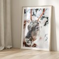 Plakat w ramie 40x50 - Renifer w Zimowej Krainie - renifer, zima - rama drewno