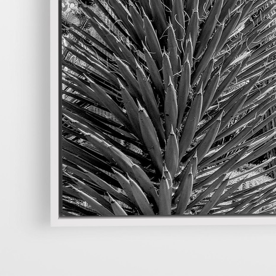 Obraz w ramie 70x50 - Pustynny Klimat - czarno białe zdjecie, pustynia - rama biała