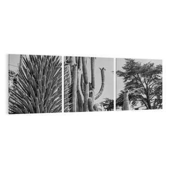 Obraz na płótnie 120x40 - Pustynny Klimat - czarno białe zdjecie, pustynia