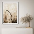 Plakat bez ramy 40x50 - Źdźbło Pszenicy: Blisko Natury - źdźbło pszenicy, pszenica