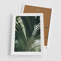 Plakat w ramie 50x70 - Tropikalne Uroki: Palmy i Zielone Liście - palmy, zielone liście - rama biała