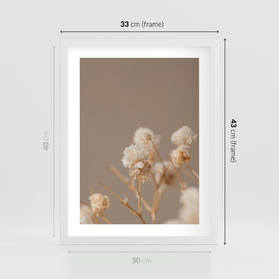 Plakat w ramie 30x40 - Przezroczyste piękno - gipsówka, suche - rama biała
