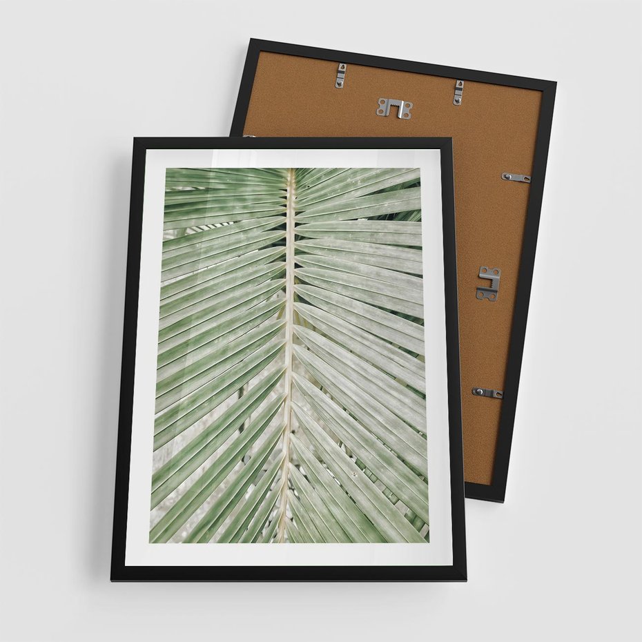 Plakat w ramie 50x70 - Jasna Zieleń Palmy - liść palmy, zbliżenie - rama czarna