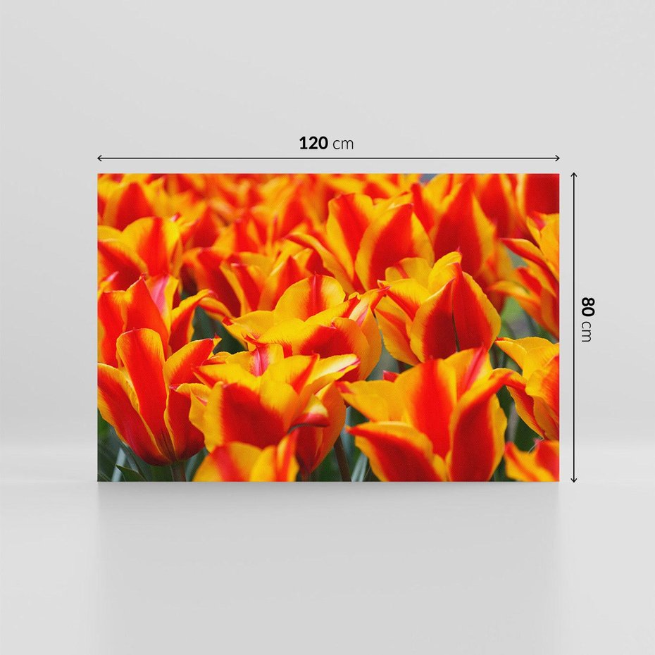 Obraz na płótnie 120x80 - Kwiatowa natura - kwiat, kwiaty