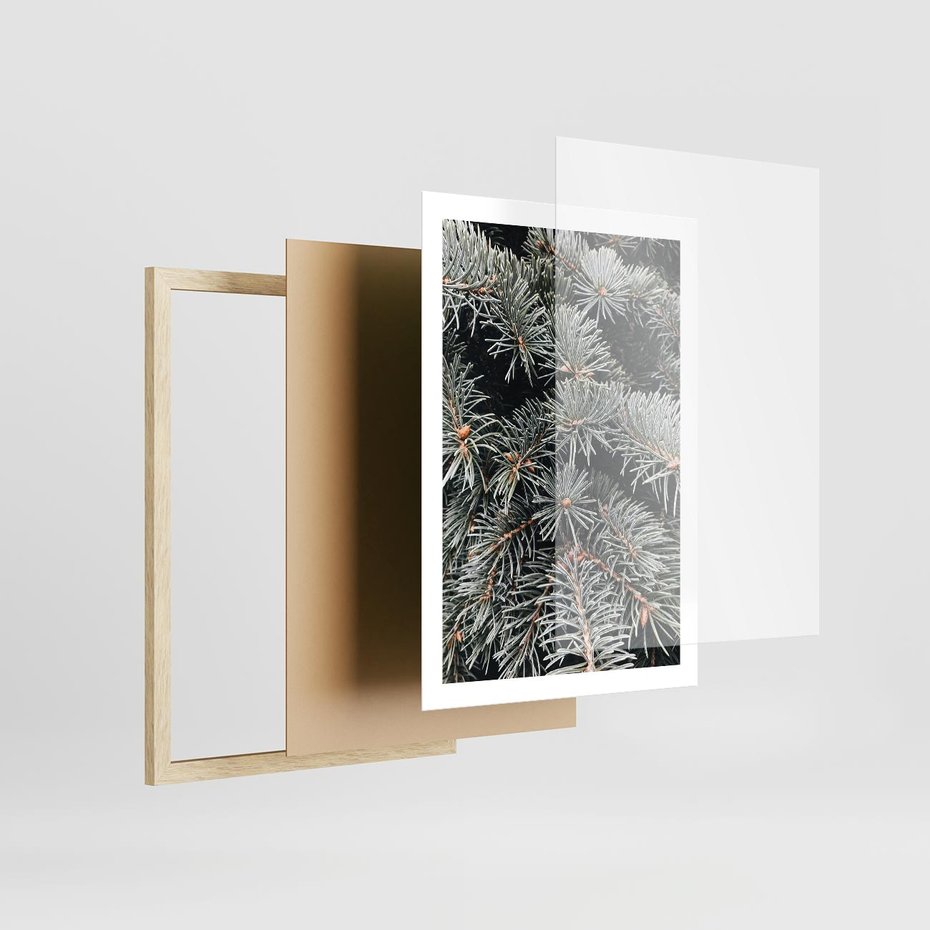 Plakat w ramie 50x70 - Zima na Gałęziach - sosnowe gałęzie, igły - rama drewno