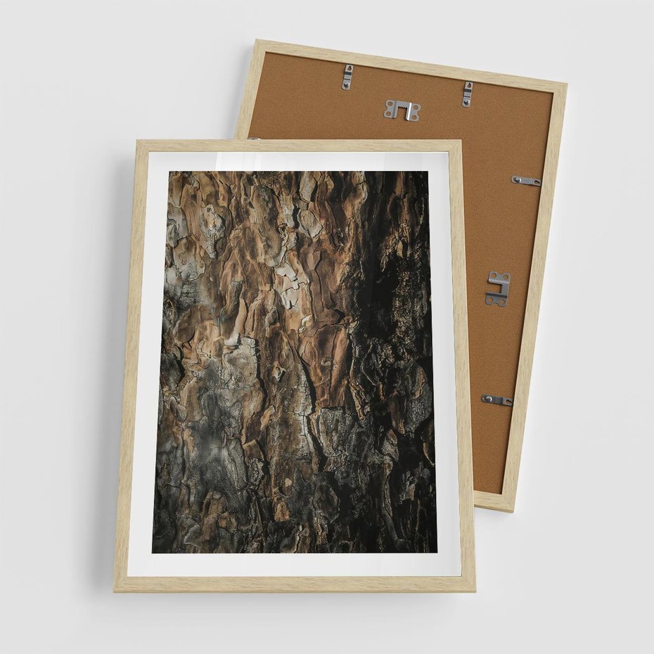 Plakat w ramie 50x70 - Tekstura Drewna: Zbliżenie - zbliżenie na pień drzewa, tekstura - rama drewno