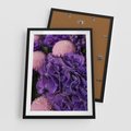 Plakat w ramie 50x70 - Fioletowa hortensja - kwiaty, hortensja - rama czarna
