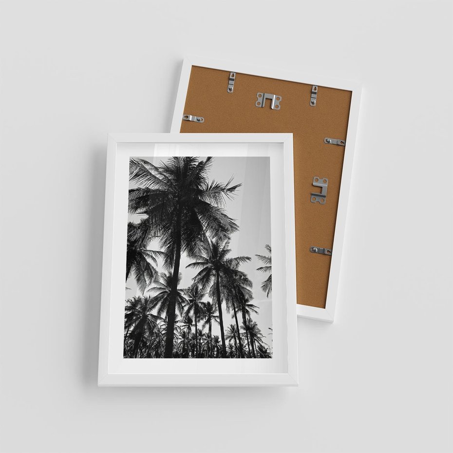 Plakat w ramie 30x40 - Mono Tropiki - palmy, drzewa palmowe - rama biała