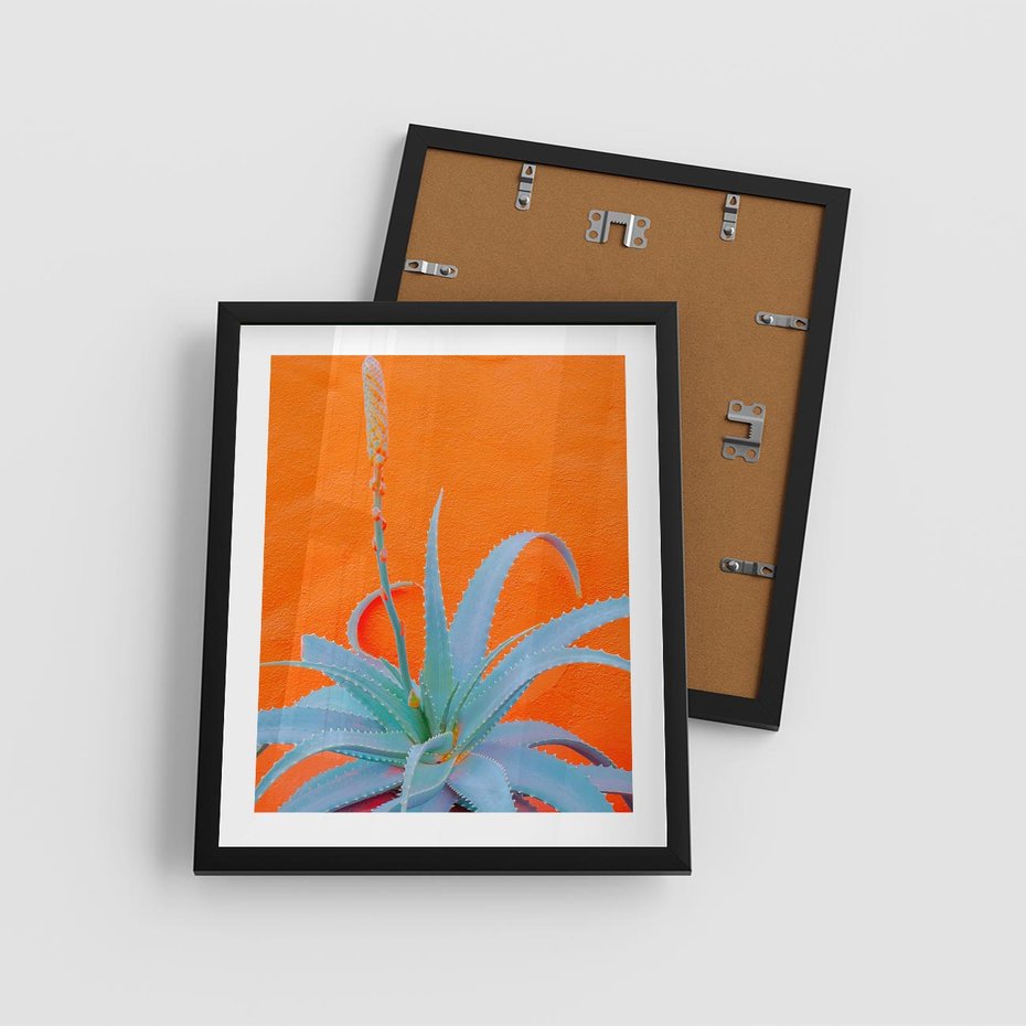 Plakat w ramie 40x50 - Naturalna Harmonia - kaktusy, liście - rama czarna