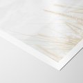 Plakat bez ramy 21x30 - Jasna Delikatność: Fotografia Suchych Traw - suche trawy, jasna fotografia