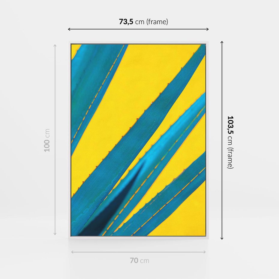 Obraz w ramie 70x100 - Świeżość Natury - aloes, liście - rama biała