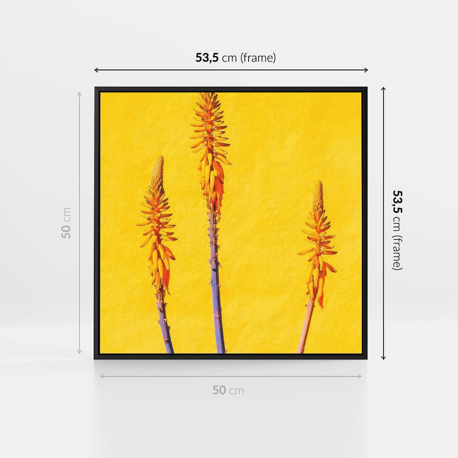 Obraz w ramie 50x50 - Radość Natury - kolor, kwiaty - rama czarna