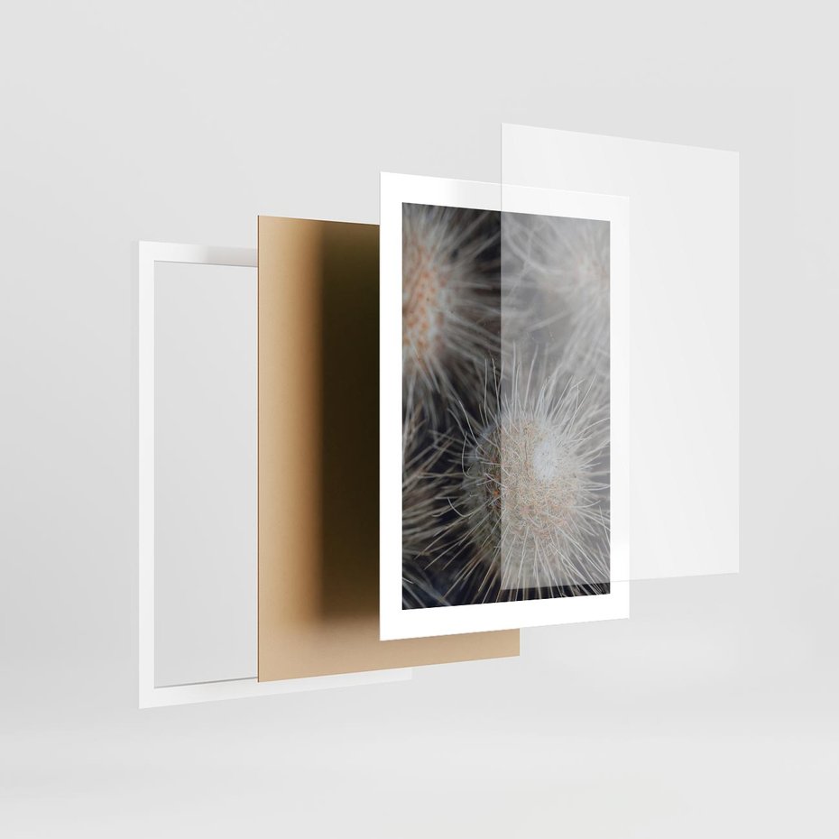Plakat w ramie 30x40 - Ulotna Piękność Natury - makro, dmuchawce - rama biała