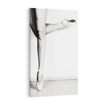Obraz na płótnie 70x100 - Tańcząca Delikatność - artystyczne zdjęcie, odcienie szarości