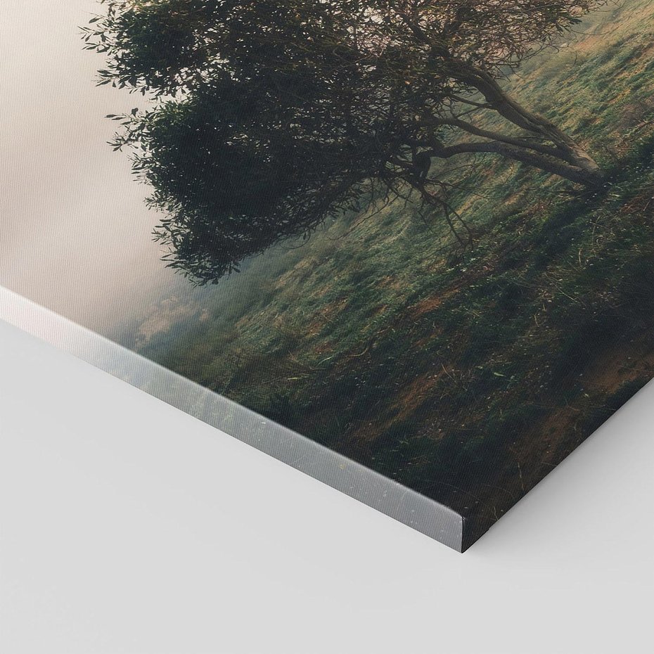 Obraz na płótnie 30x30 - Zamglona Prostota - artystyczna fotografia, samotne drzewo na zamglonej łące