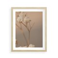 Plakat w ramie 40x50 - Subtelna gipsówka - gipsówka, suche - rama drewno