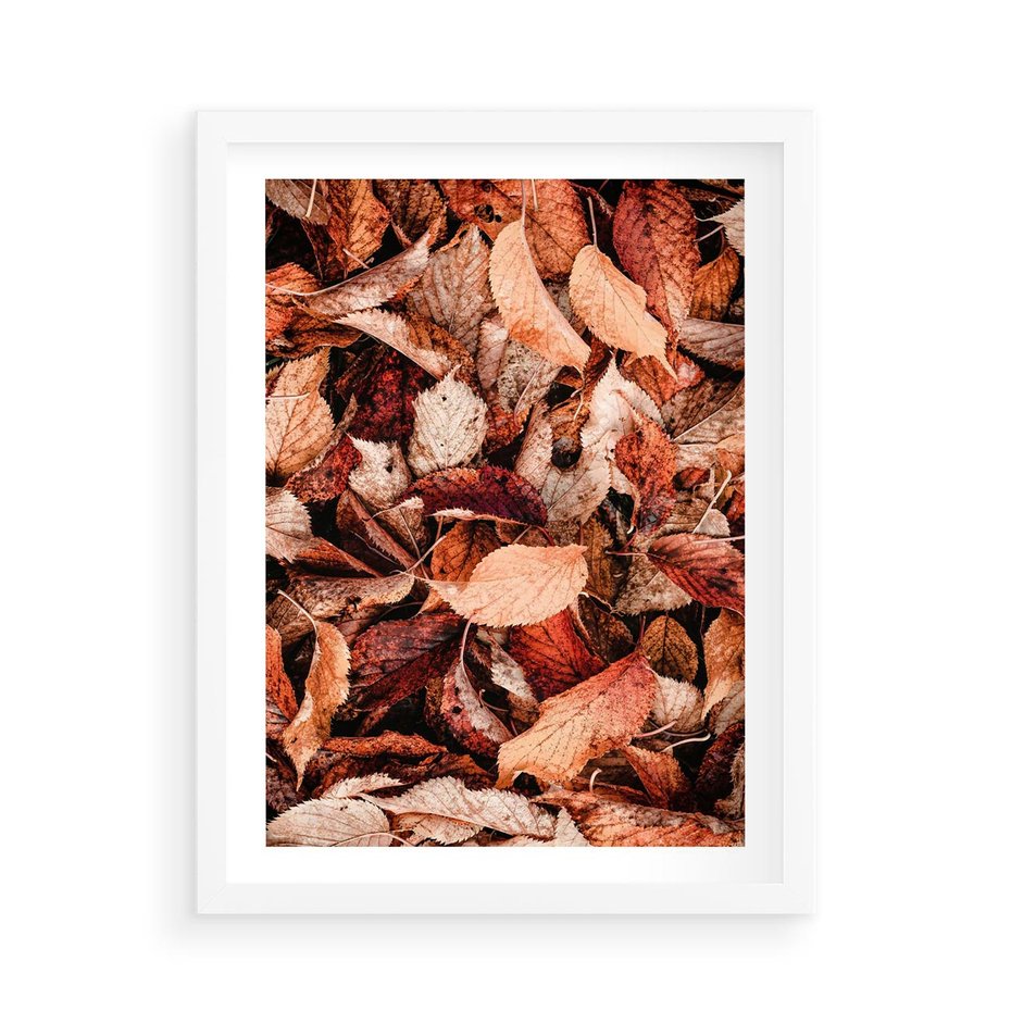 Plakat w ramie 50x70 - Magia Jesiennej Ziemi - liście, jesień - rama biała