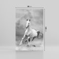 Obraz na płótnie 80x120 - Elegancja w Czarno-Białym - koń, biało