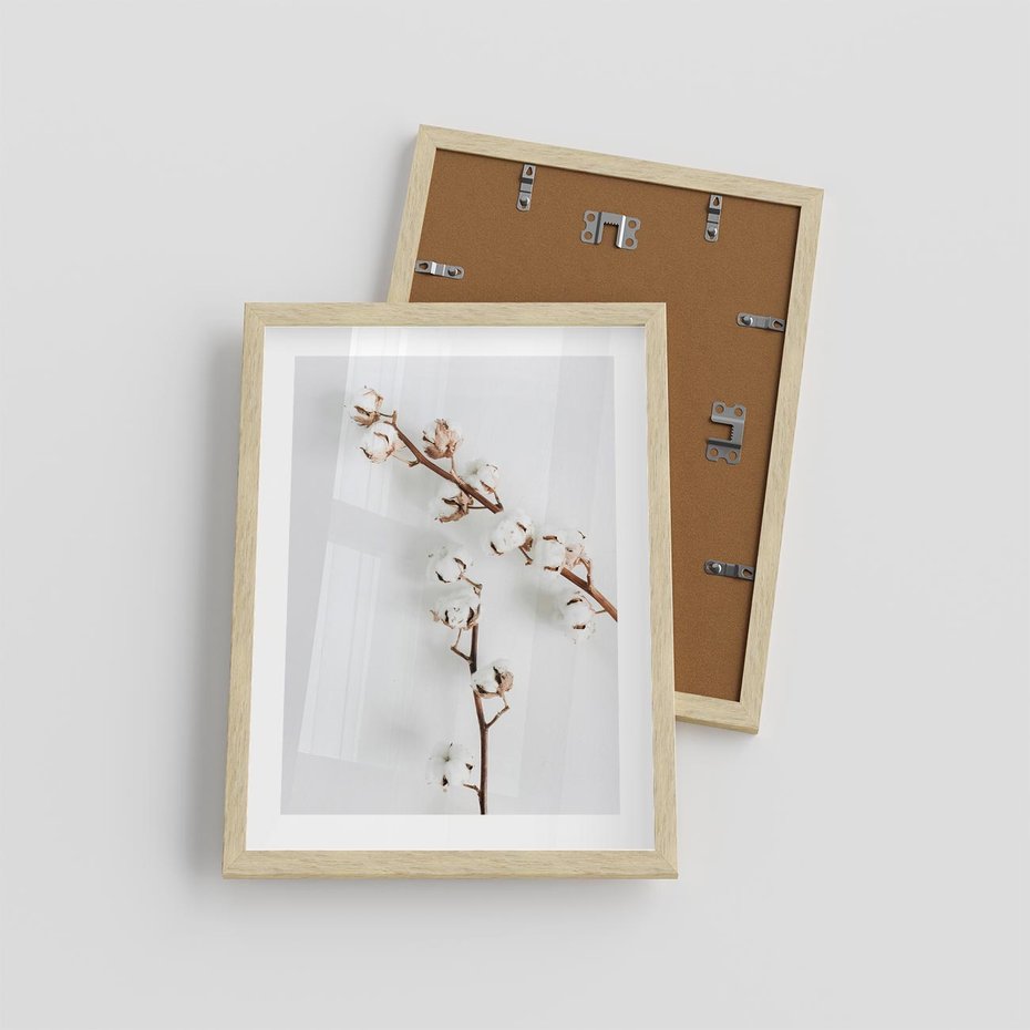 Plakat w ramie 30x40 - Gałęzie Bawełny na Białym Tle - gałęzie bawełny na białym tle, minimalizm - rama drewno