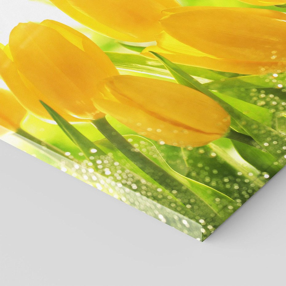 Obraz na płótnie 60x60 - Tulipany - szczyt kwiatowego piękna - tulipany, kwiaty
