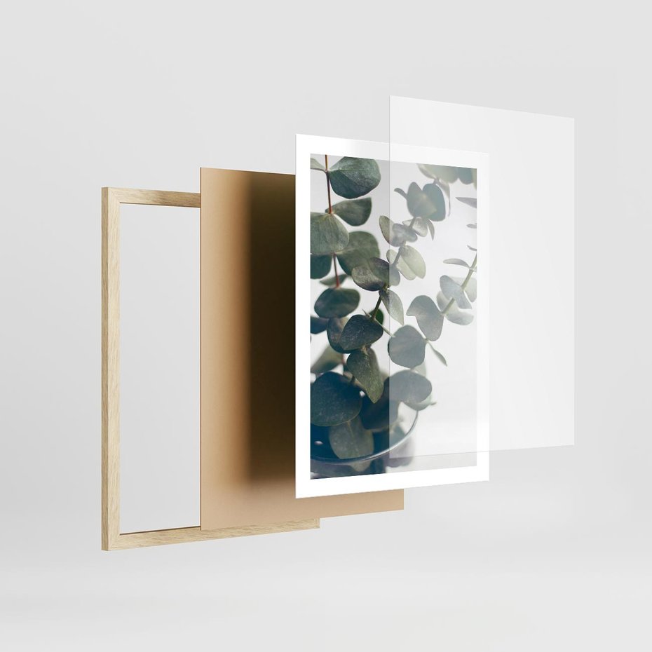 Plakat w ramie 50x70 - ukaliptusowa Harmonia - liście eukaliptusa - rama drewno