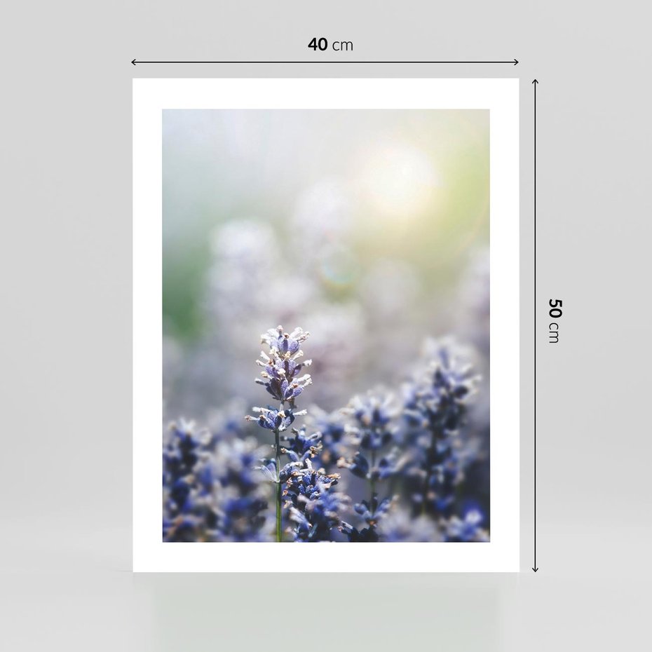 Plakat bez ramy 40x50 - Delikatna Uroda Natury - wrzosy, fiolet