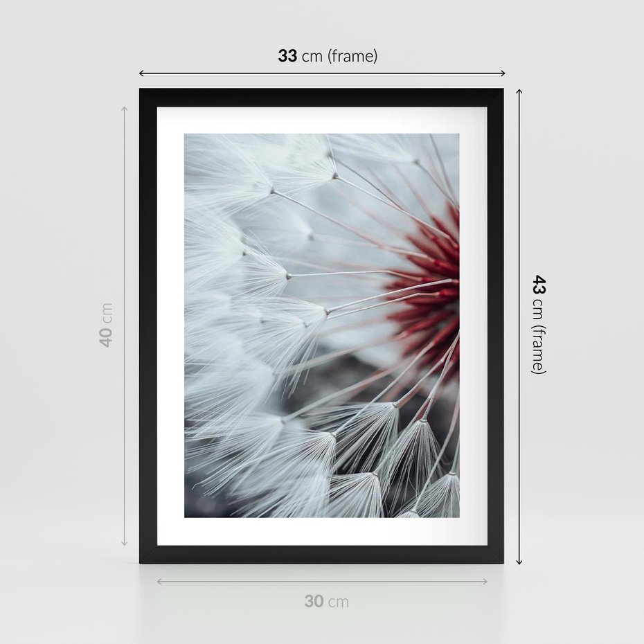 Plakat w ramie 30x40 - Makro Magii Natury - dmuchawiec, zbliżenie makro - rama czarna