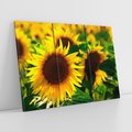 Obraz na płótnie 120x80 - Słonecznikowa Energia - słonecznik, kwiat